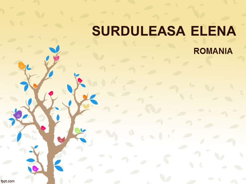 SURDULEASA ELENA ROMANIA